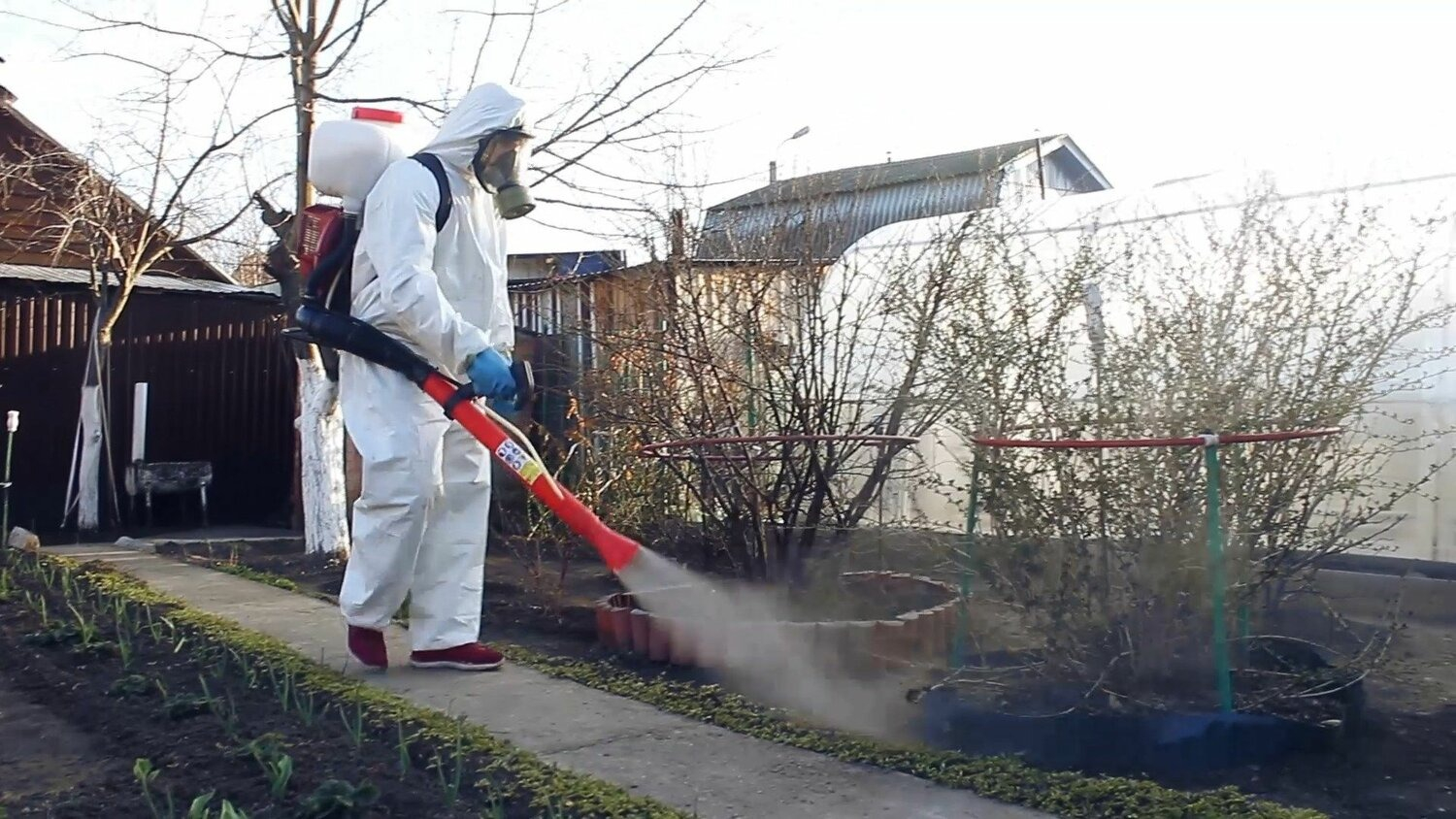 ФОТО Уничтожение муравьёв в районе станции метро Солнцево