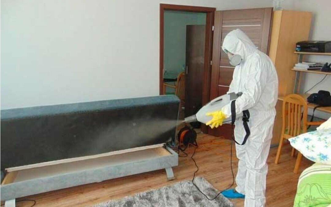 ФОТО Уничтожение блох в районе станции метро Солнцево