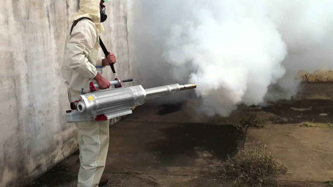 ФОТО Уничтожение мух в районе станции метро Солнцево