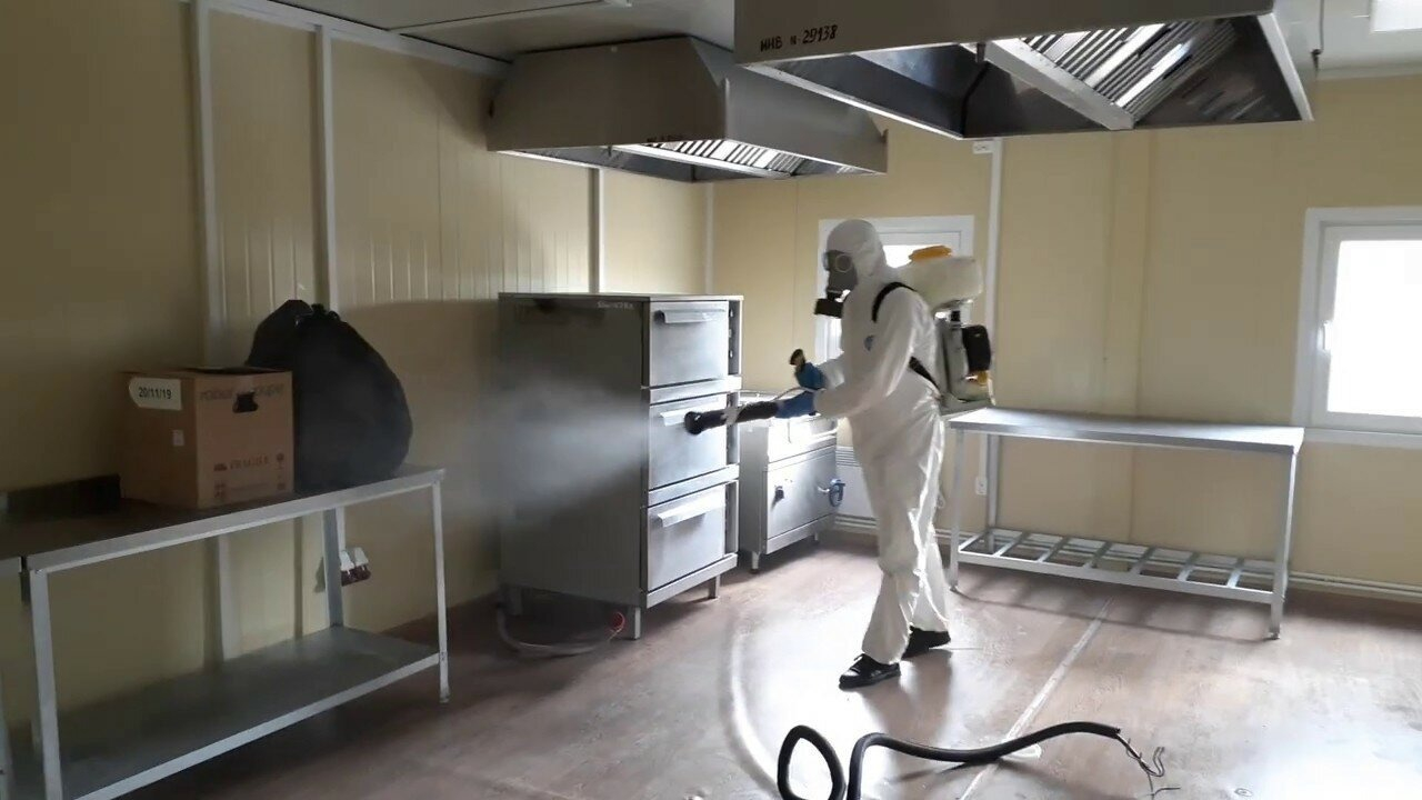 ФОТО Можно ли провести дезинсекцию самостоятельно и какие существуют риски в районе станции метро Солнцево? | подробно