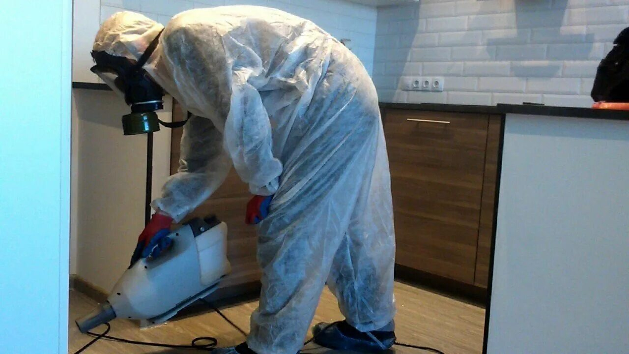 ФОТО Как подготовить домашних животных к обработке от насекомых в районе станции метро Солнцево? | подробно