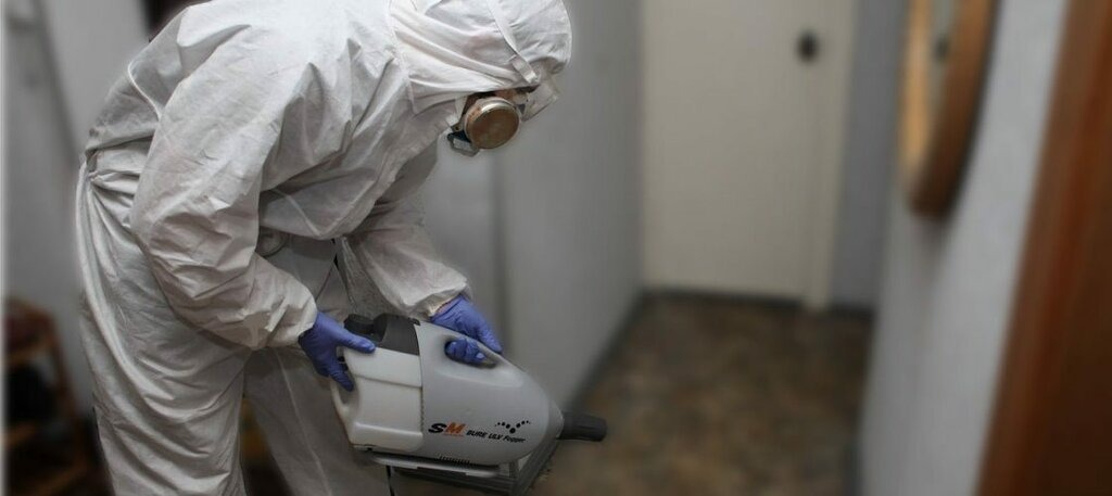 ФОТО Остаются ли следы после обработки квартиры от насекомых в районе станции метро Солнцево? | подробно