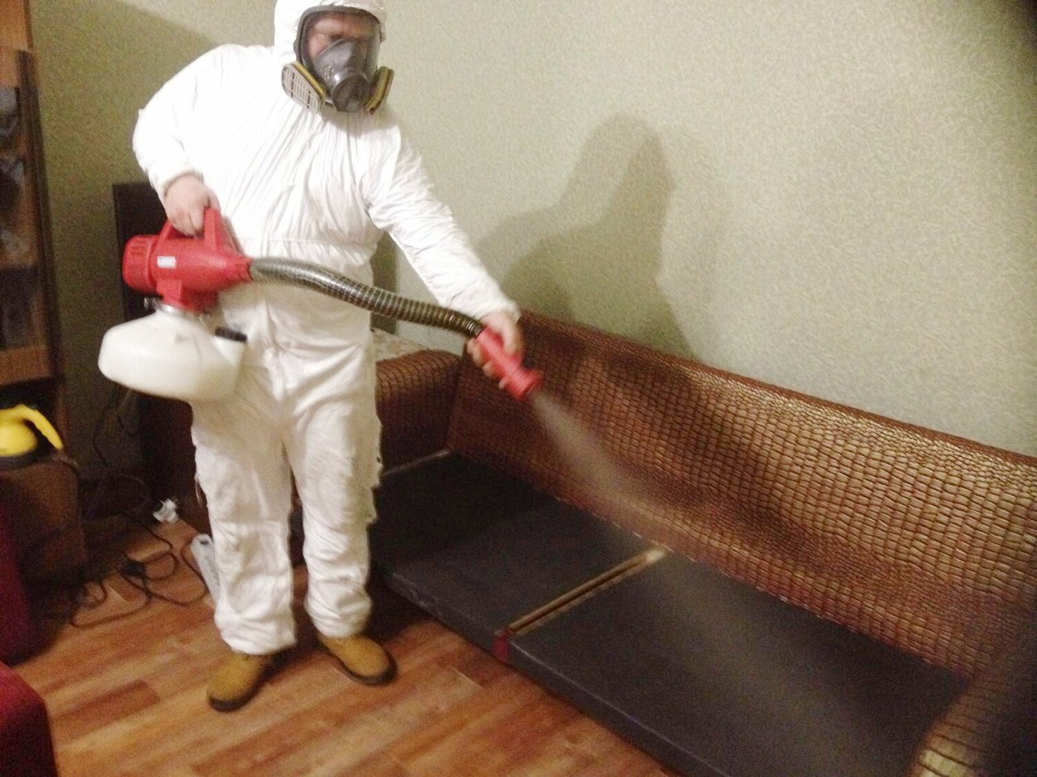 ФОТО Когда можно вернуться в помещение после дезинсекции в районе станции метро Солнцево? | подробно