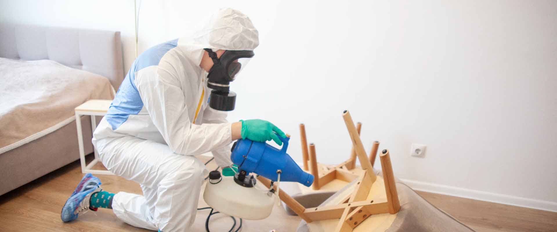 фото: Уничтожение постельных клопов с 1-го раза с гарантией за 30-60 мин. в районе станции метро Солнцево без предоплаты