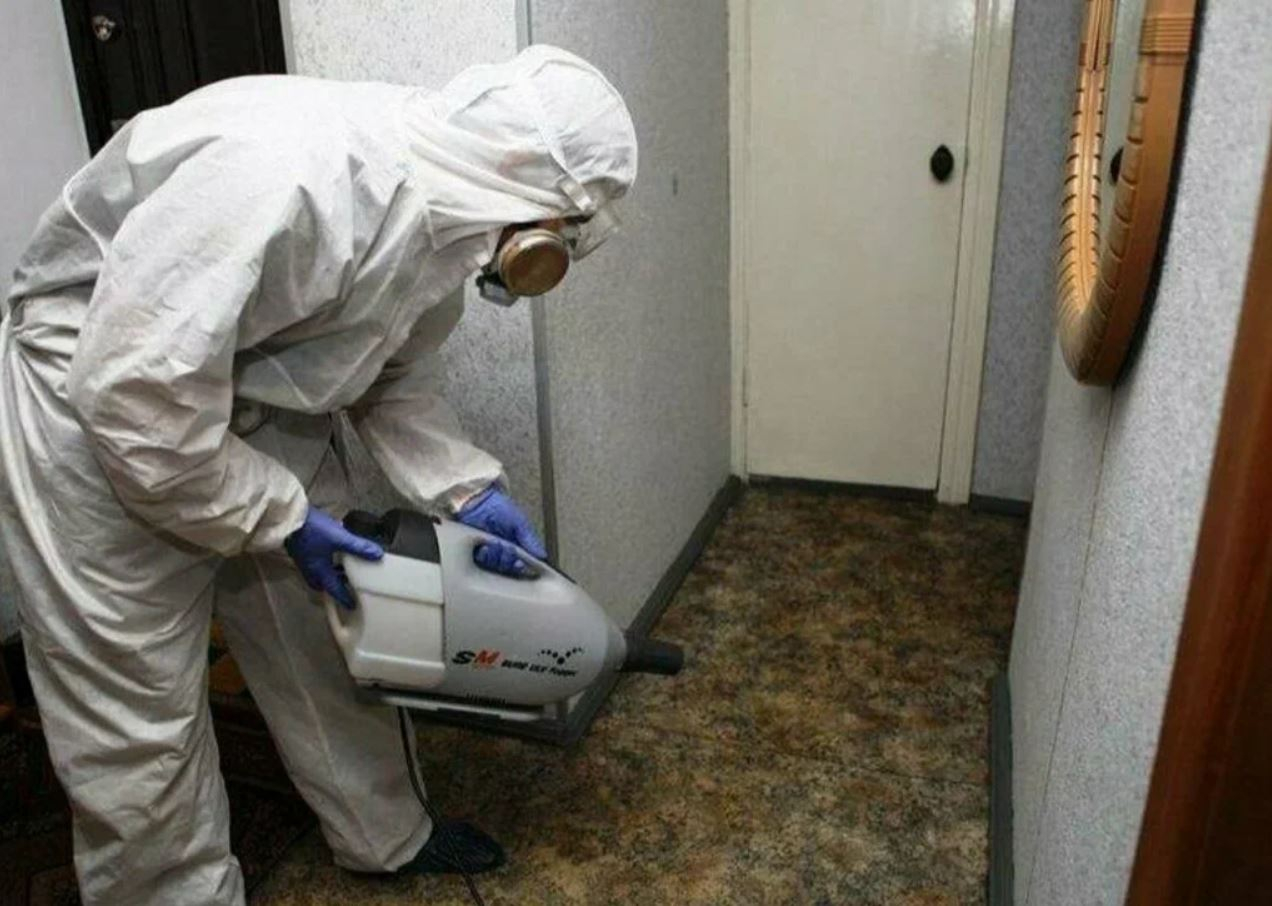 фото: Профессиональная дезинсекция в районе станции метро Солнцево: <br/>+7-909-173-42-96