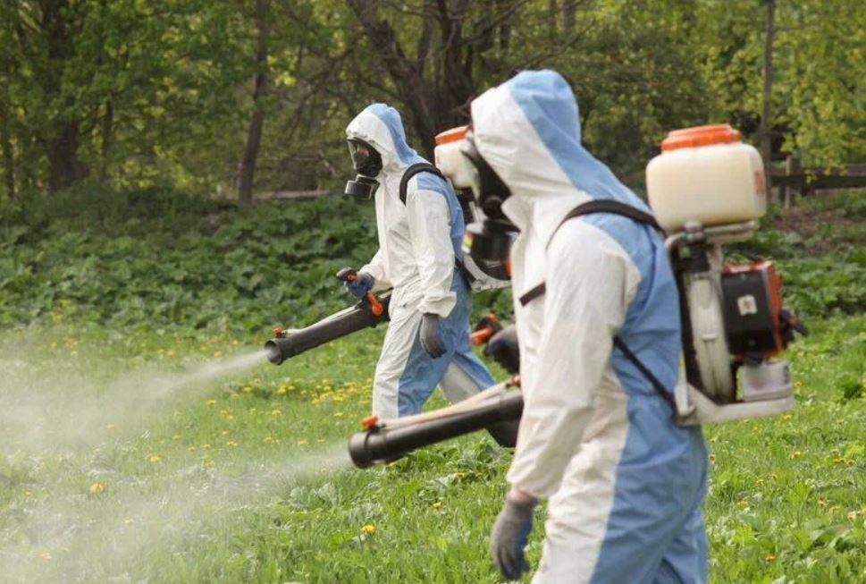 фото: Профессиональное уничтожение мух в районе станции метро Солнцево: <br/>+7-909-173-42-96