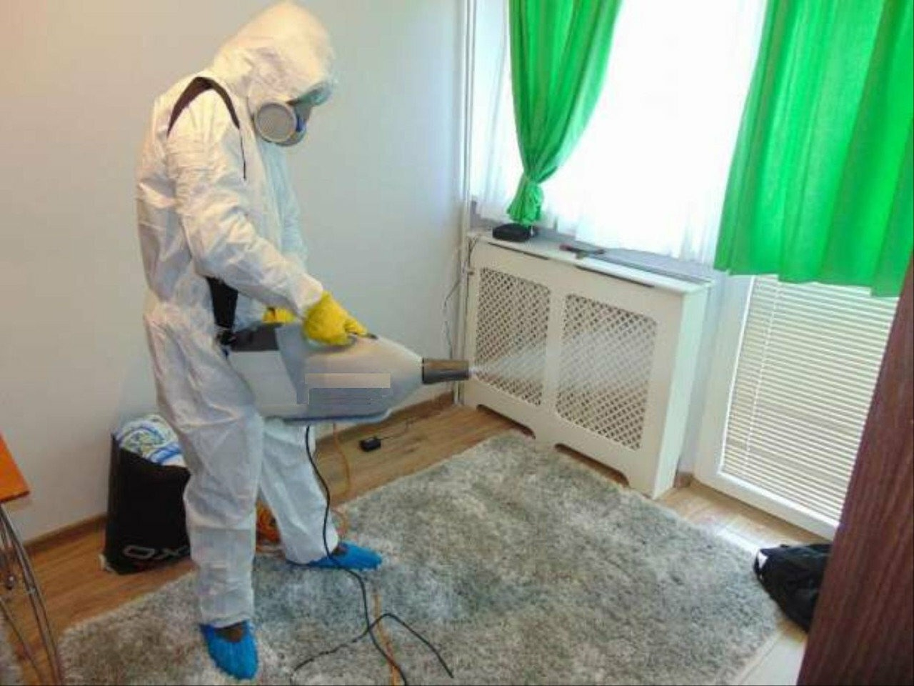 фото: Уничтожение насекомых навсегда с 1-го раза с гарантией за 30-60 мин. в районе станции метро Солнцево
